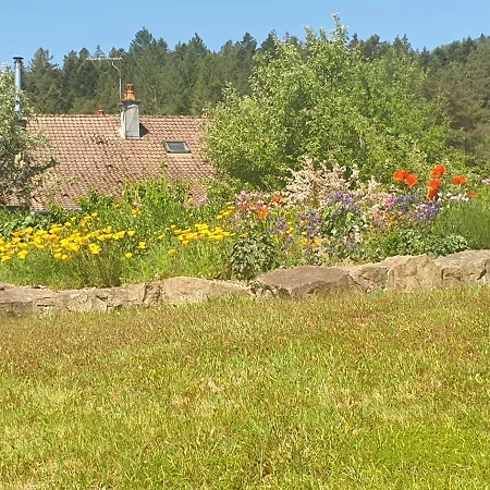 Maison Avec Vue Sur Montagnes *
