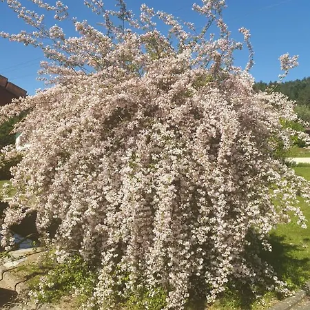 Casa vacanze Maison Avec Vue Sur Montagnes